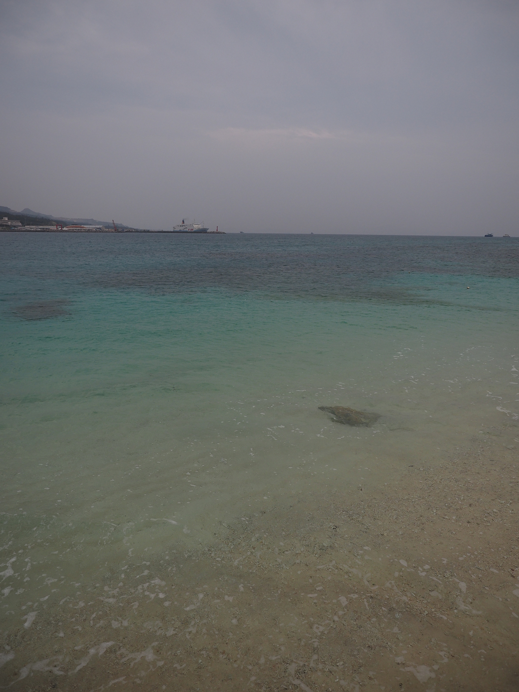 P1191634.jpg