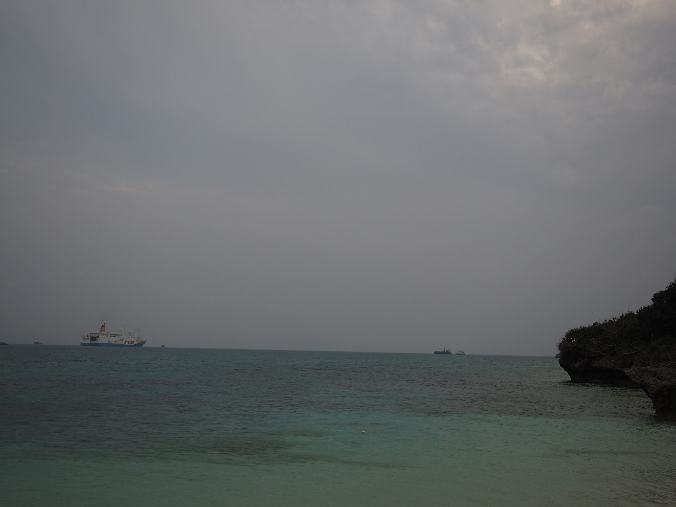 P1191636.jpg