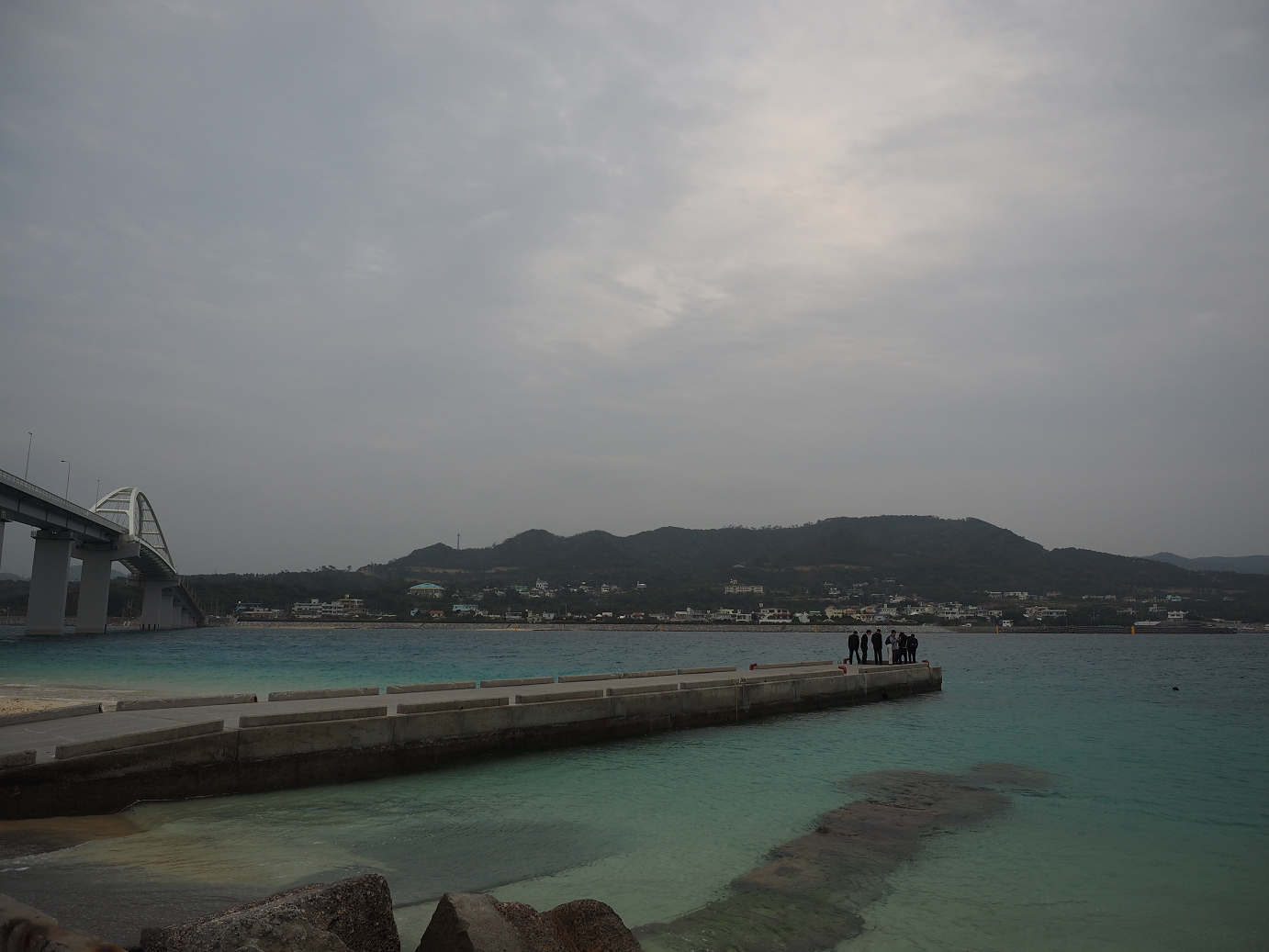 P1191638.jpg