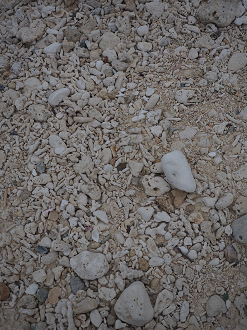 P1191639_thumb.png