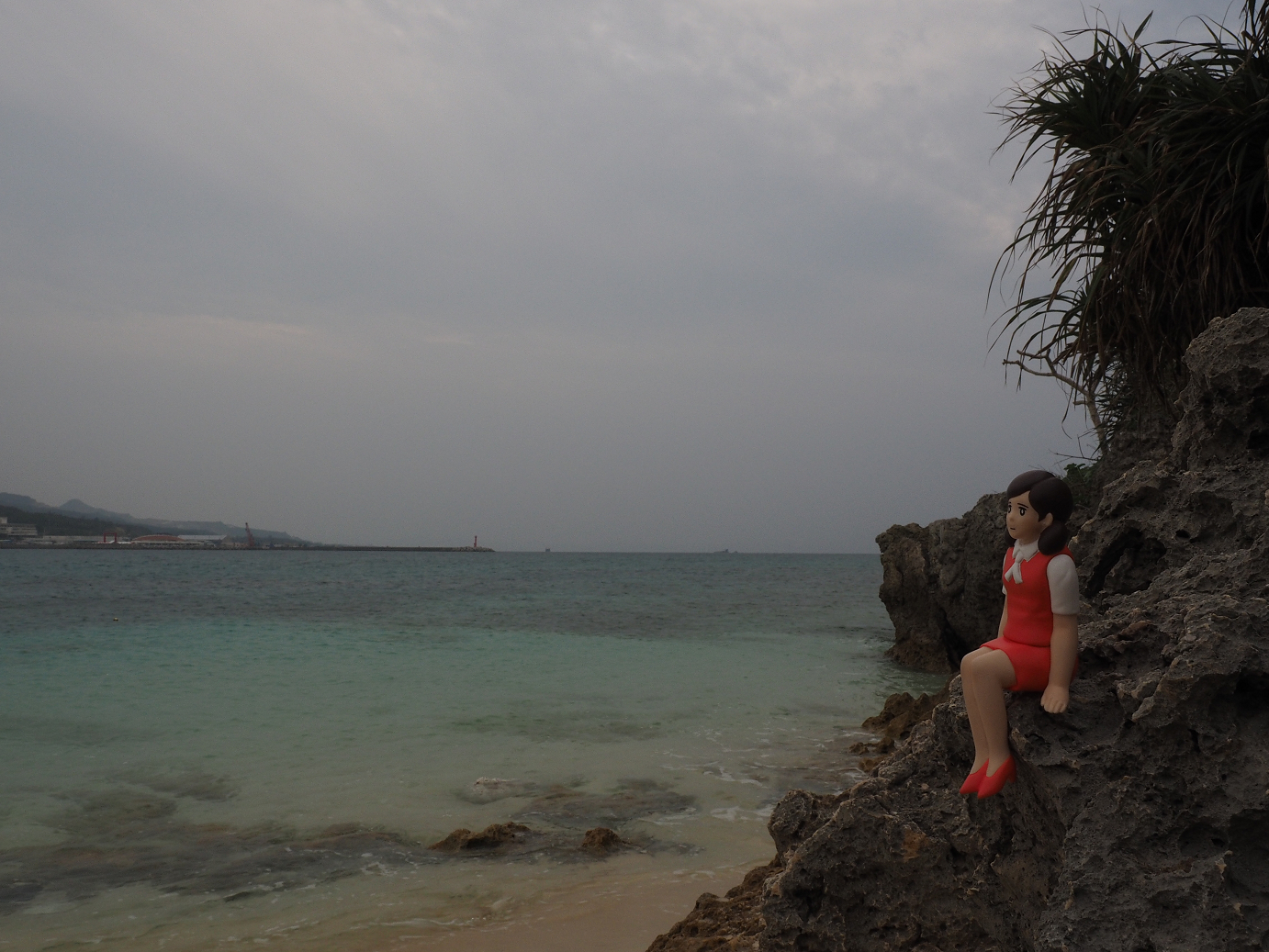 P1191656.jpg