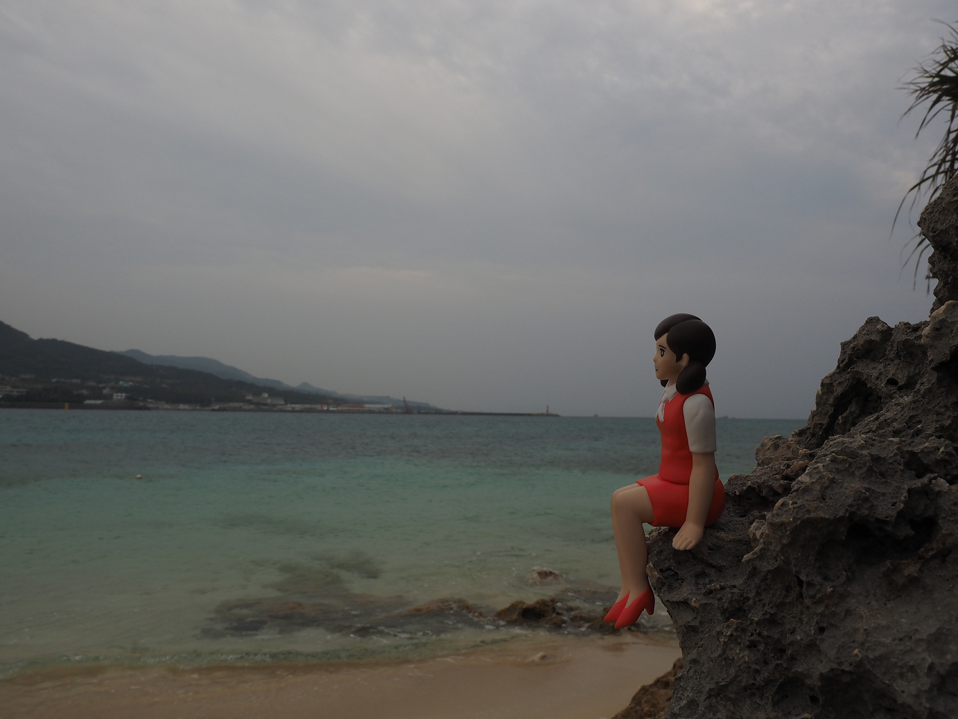 P1191660.jpg