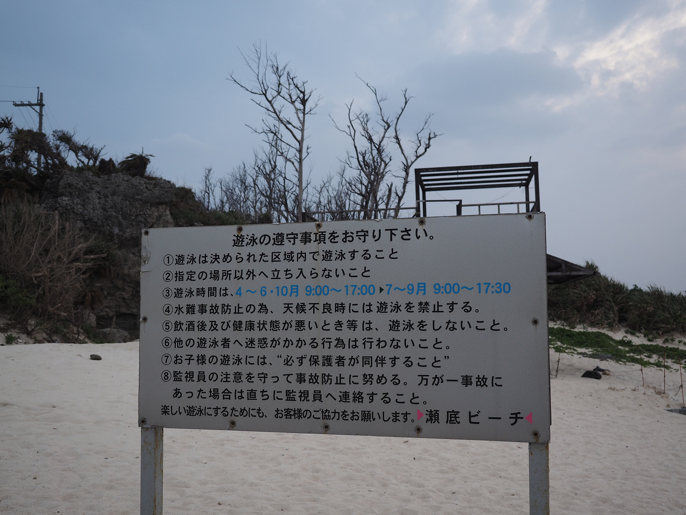 P1191687.jpg