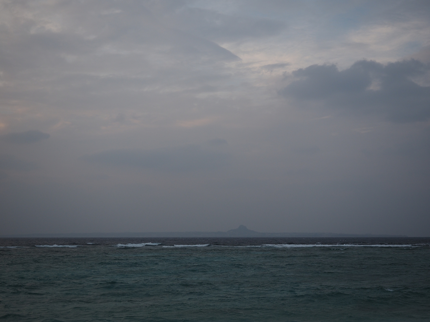 P1191691.jpg