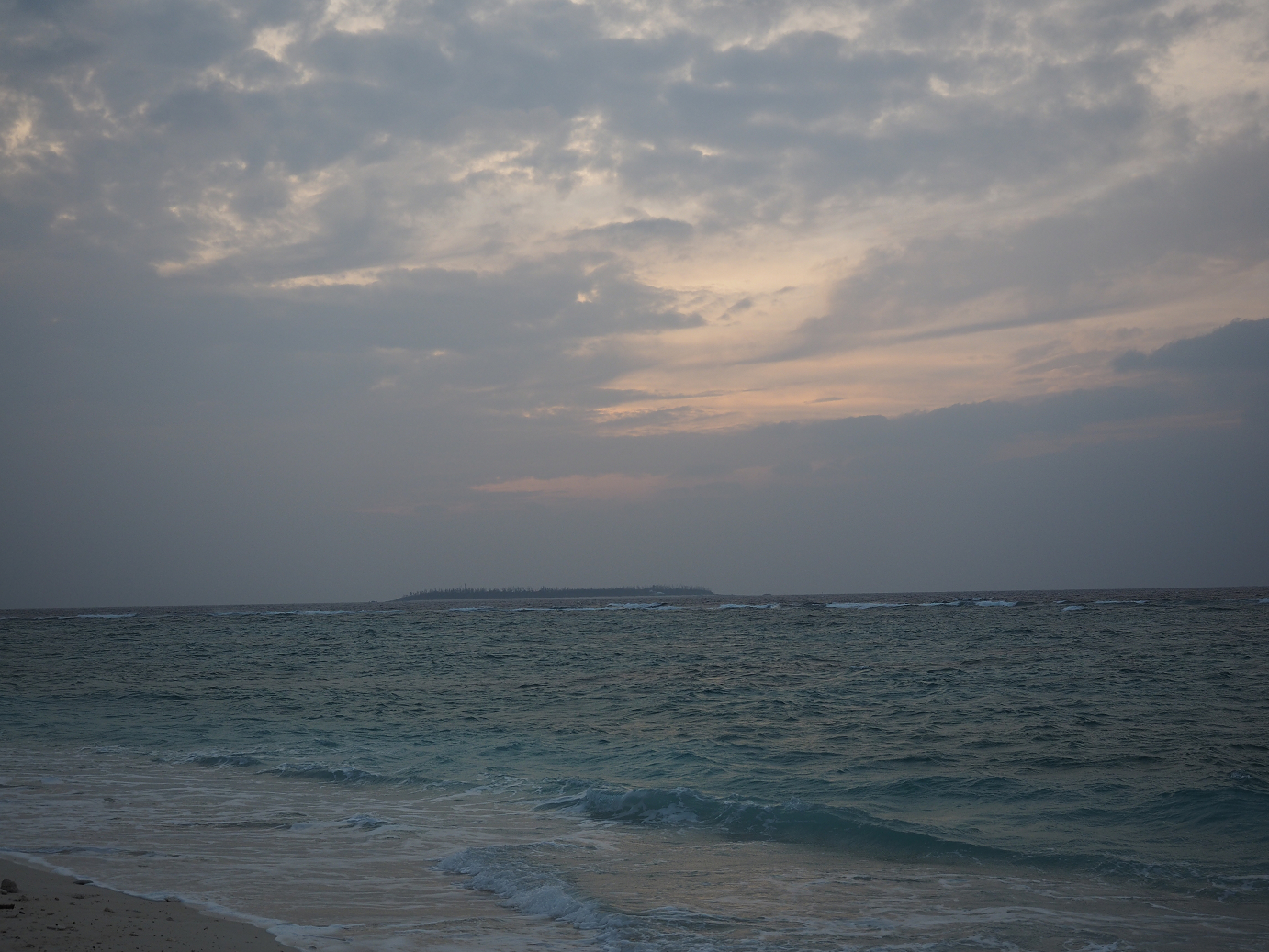 P1191704.jpg