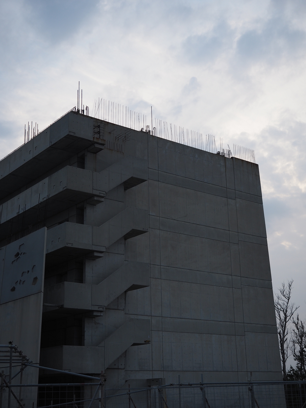 P1191716.jpg