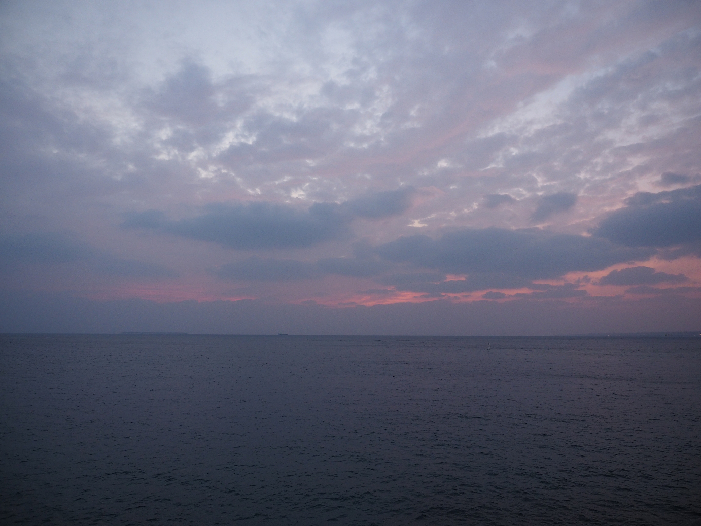 P1191719.jpg