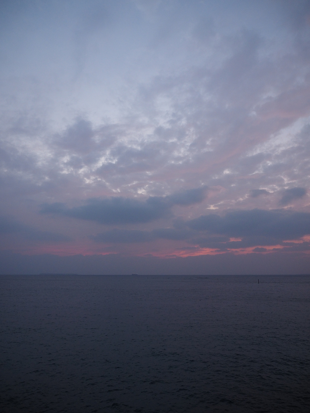 P1191720.jpg