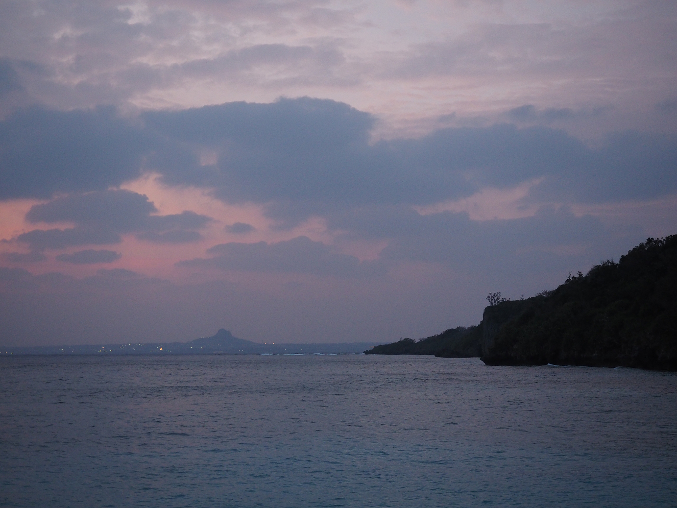 P1191730.jpg