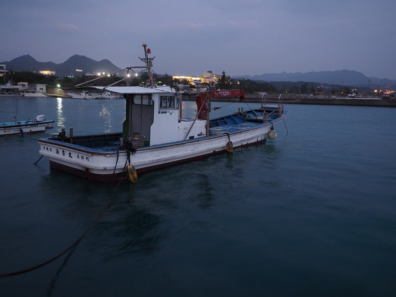P1191768.jpg