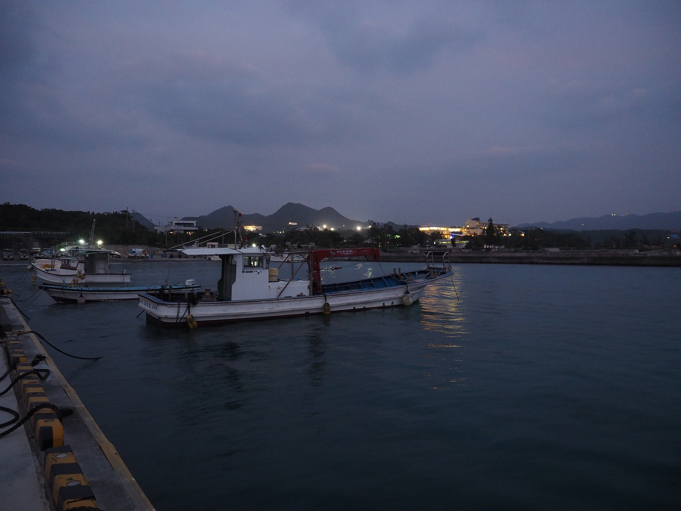 P1191773.jpg