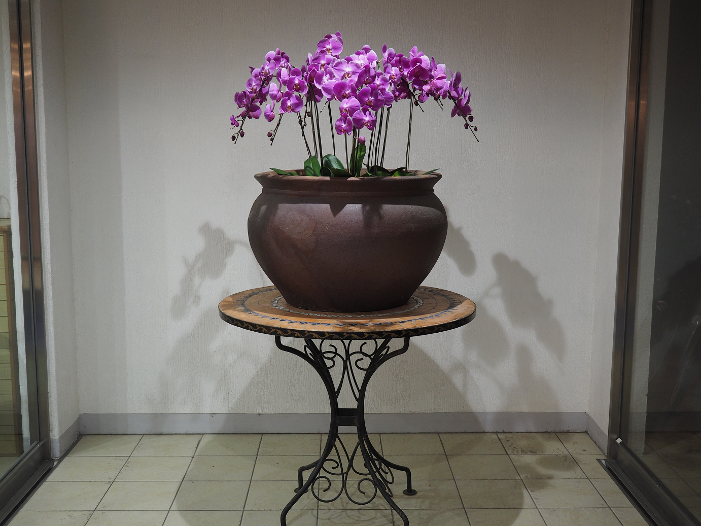 P1191844.jpg