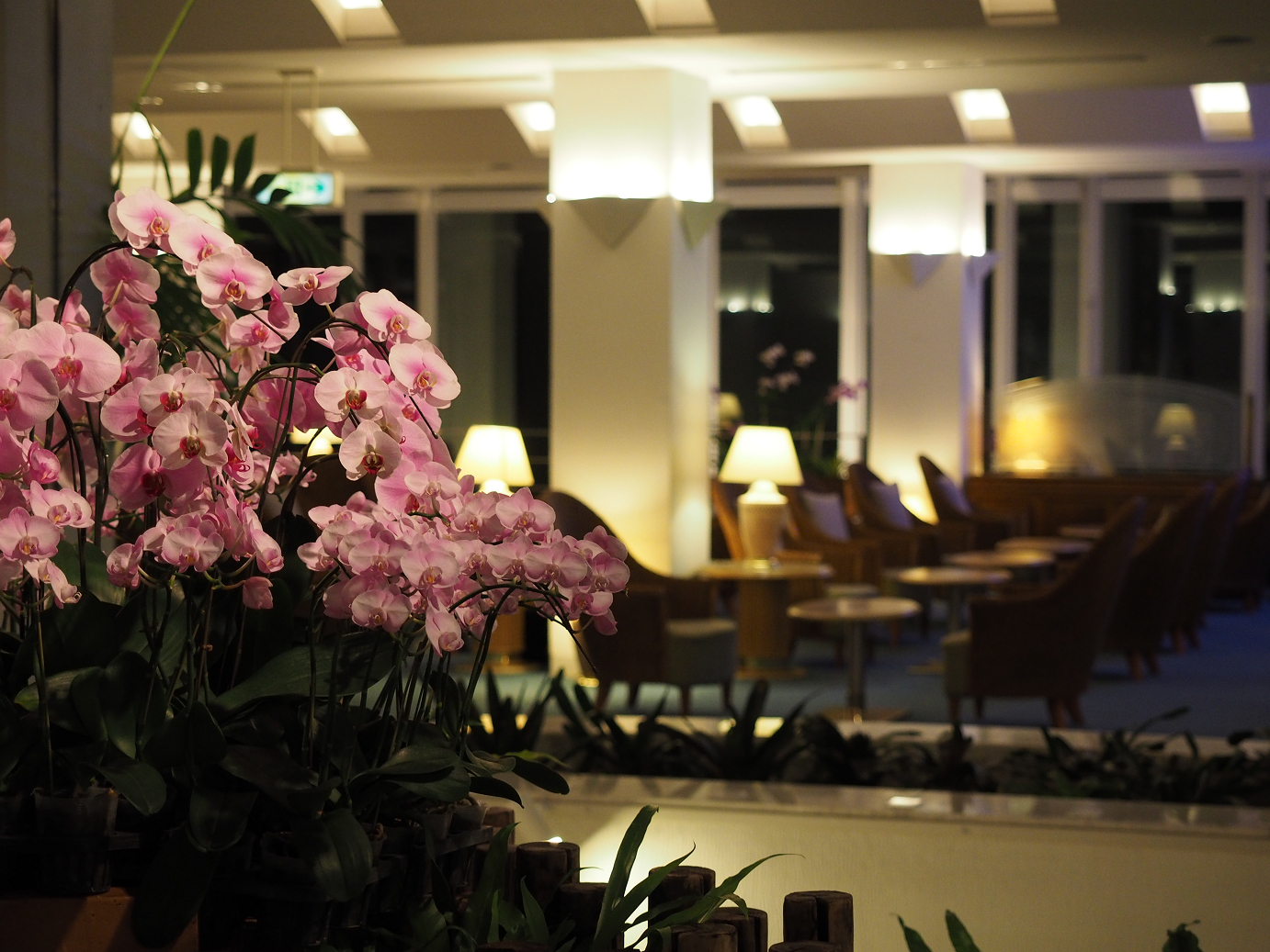 P1191853.jpg