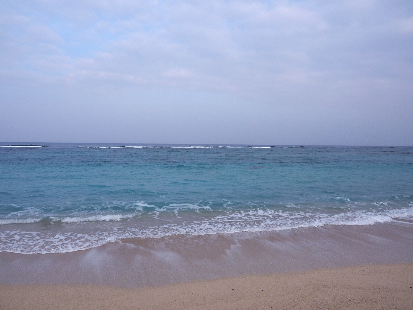 P1200003.jpg