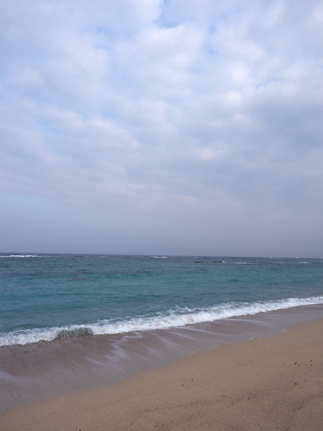 P1200004.jpg