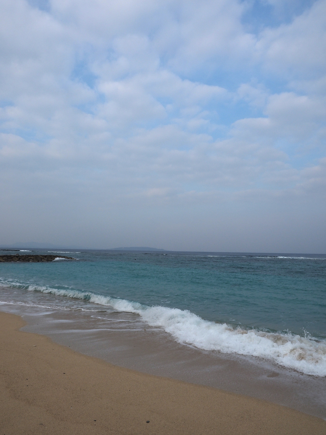 P1200005.jpg