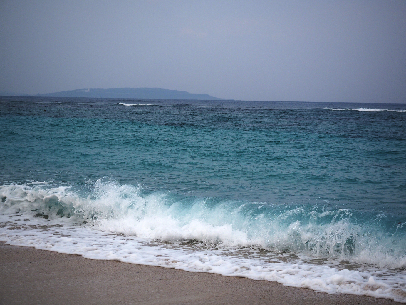 P1200007.jpg