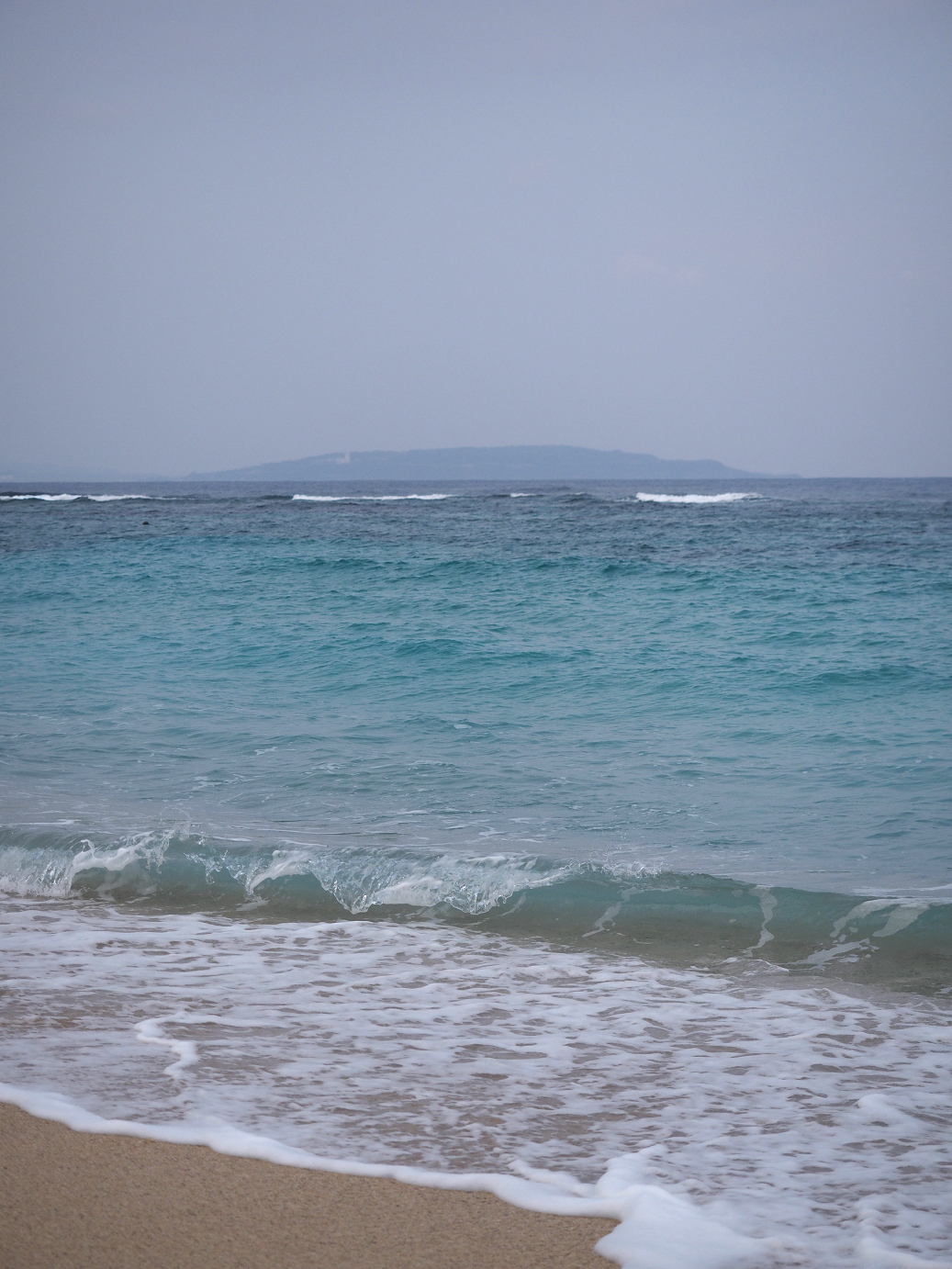 P1200010.jpg