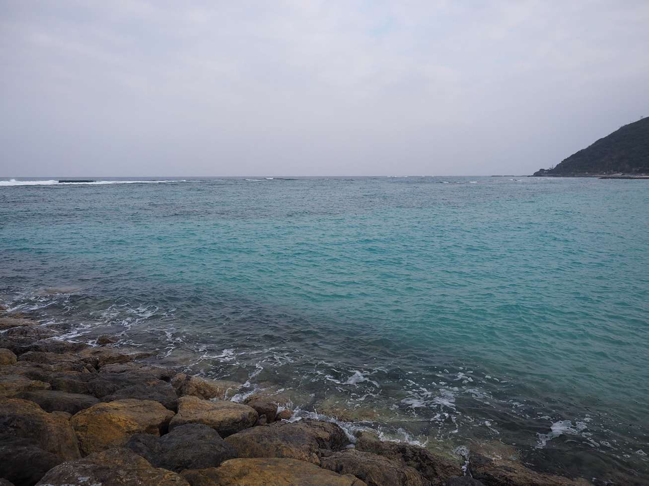 P1200013.jpg