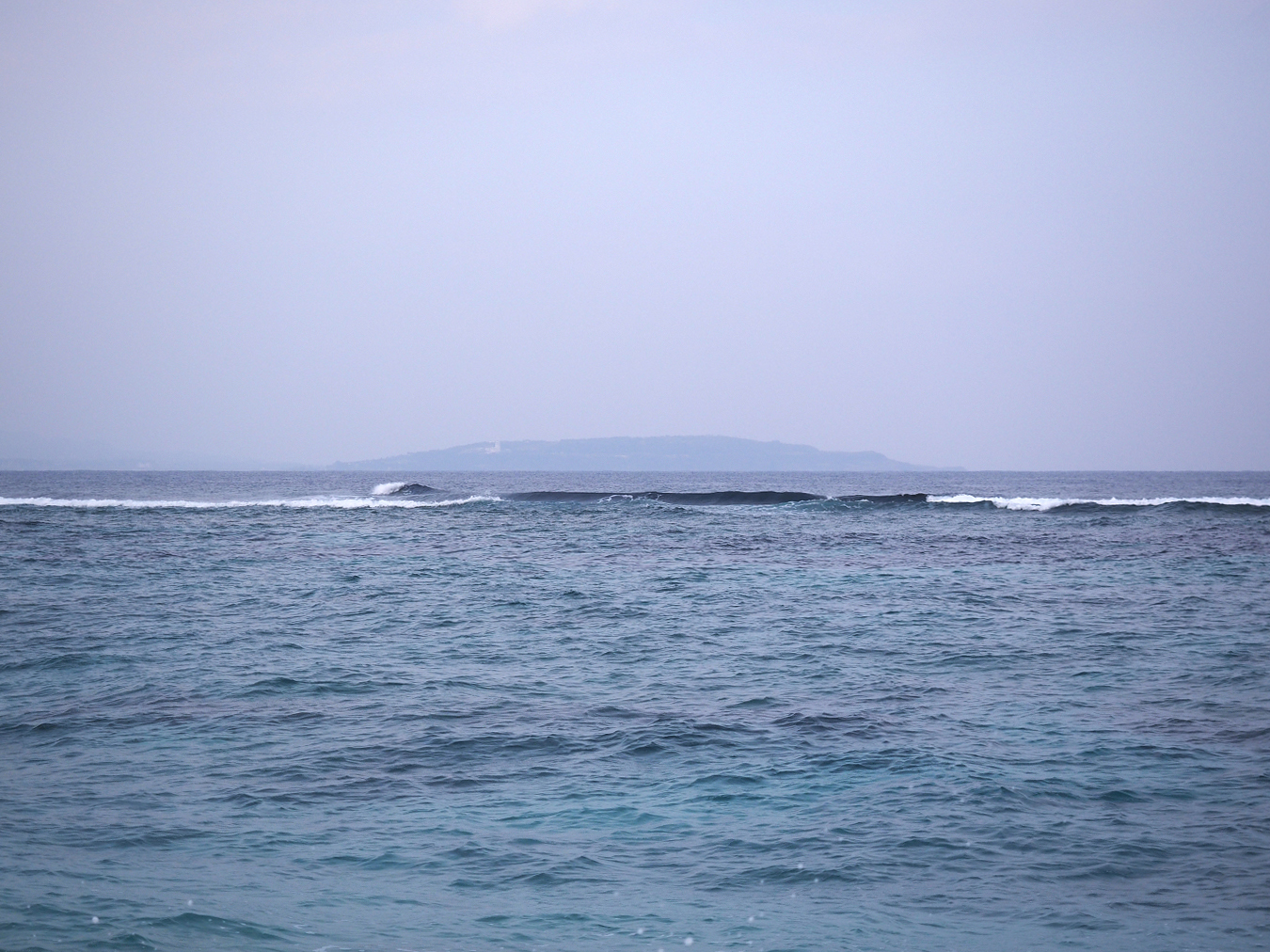 P1200016.jpg