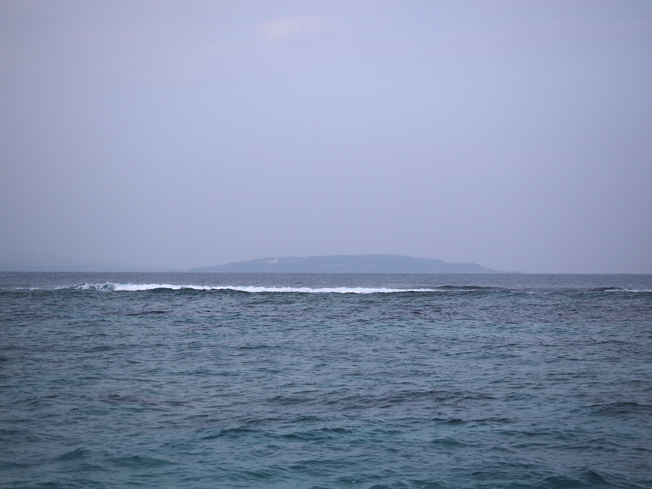 P1200017.jpg