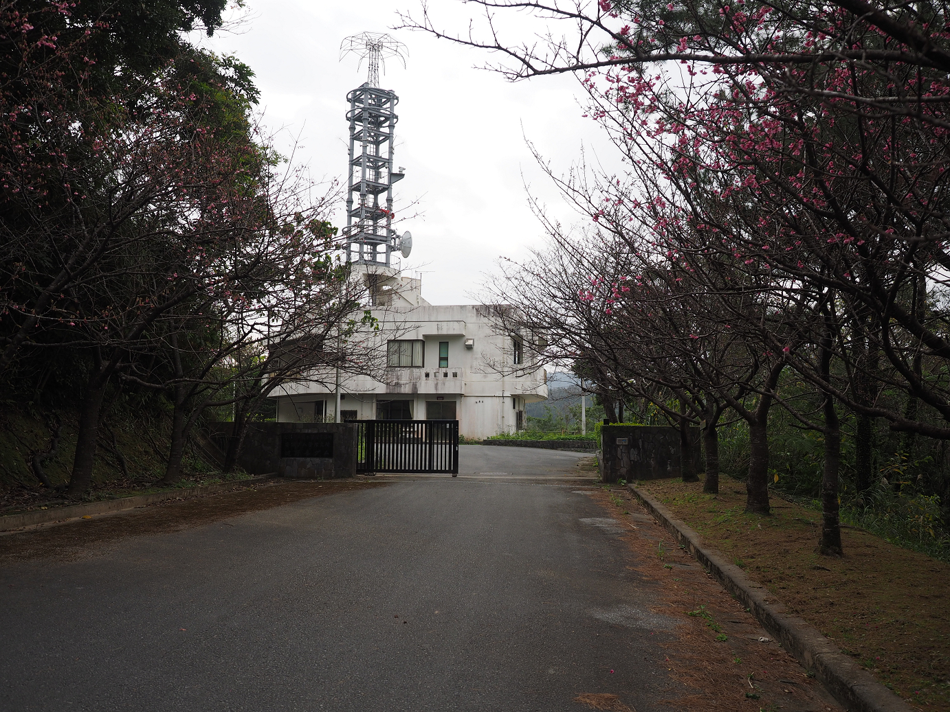 P1200025.jpg