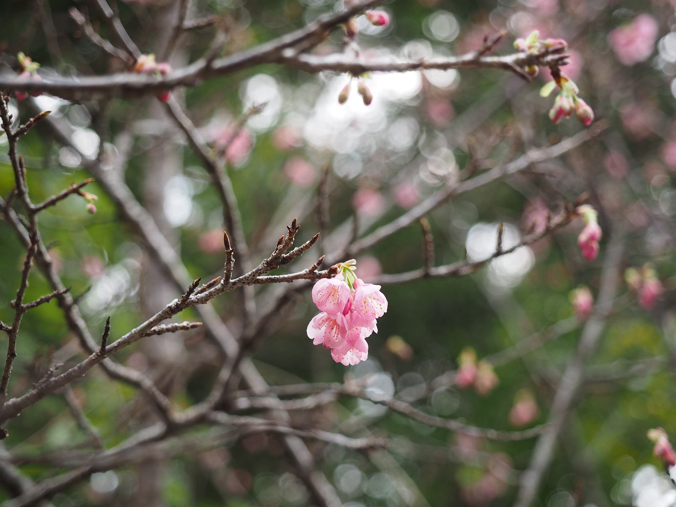 P1200029.jpg