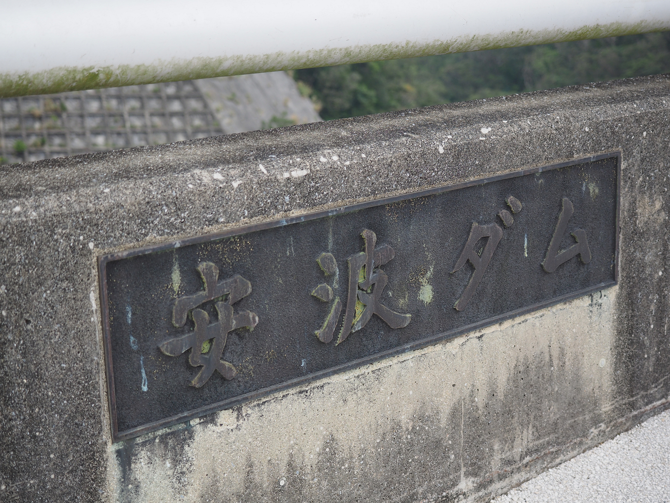 P1200185.jpg