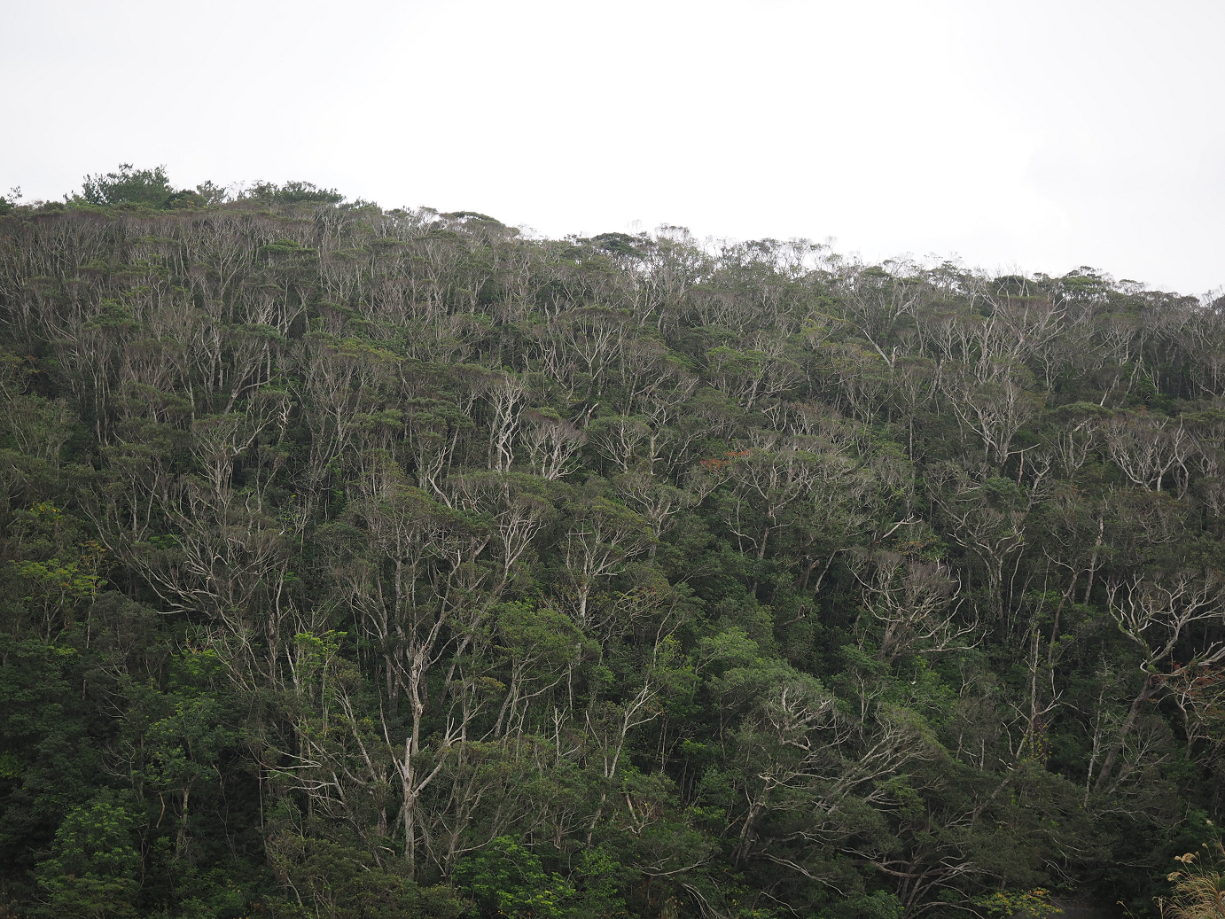 P1200201.jpg