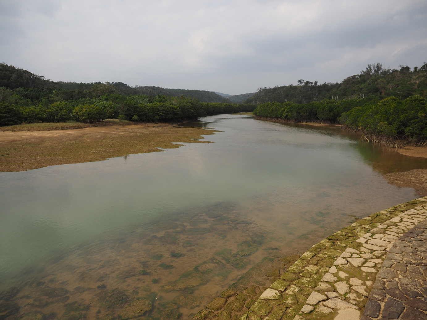 P1200213.jpg