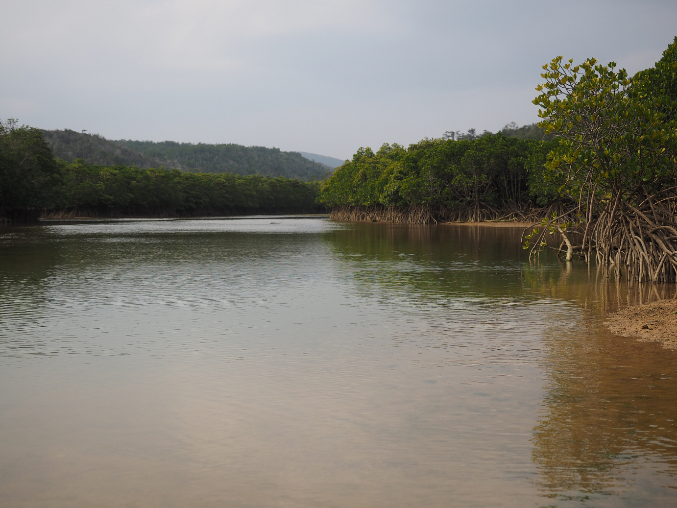 P1200214.jpg