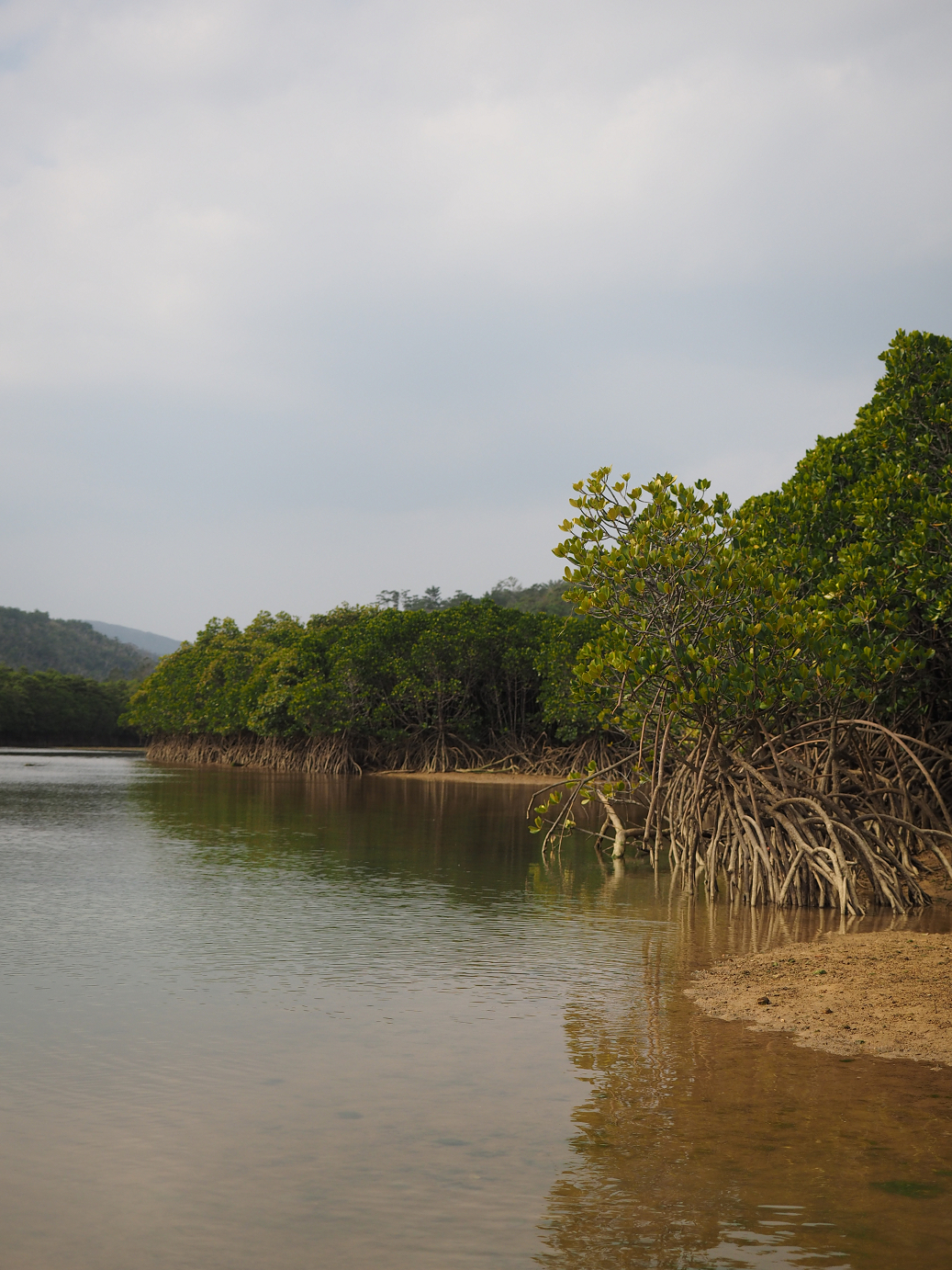 P1200215.jpg