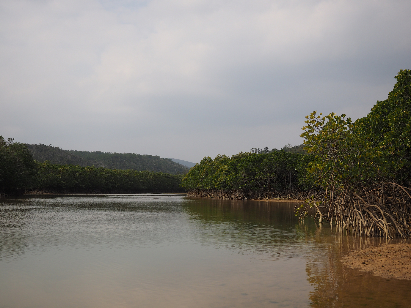 P1200216.jpg