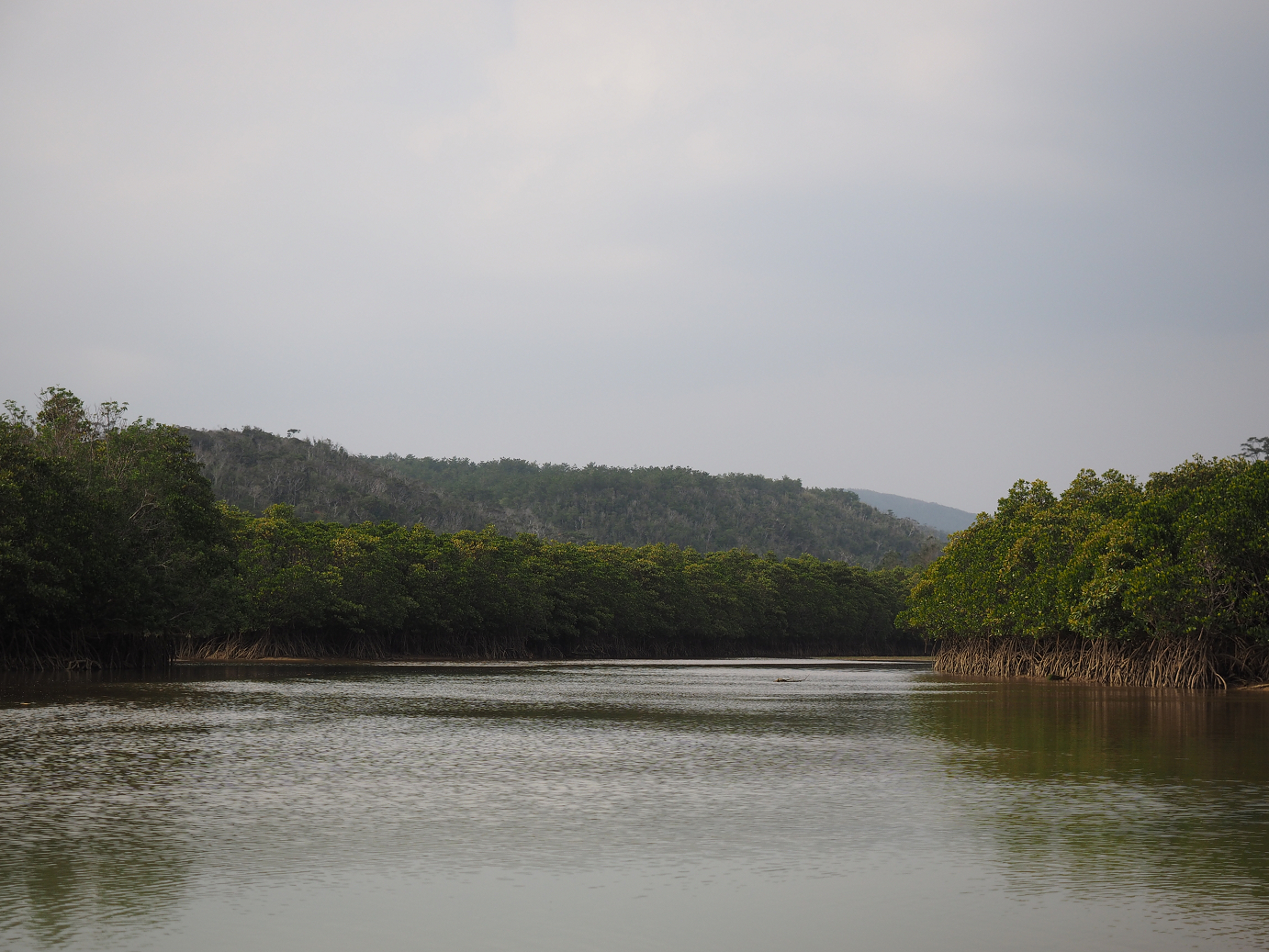P1200217.jpg