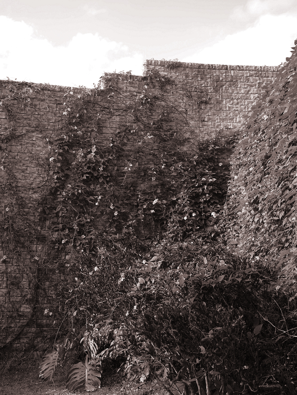P1200252.jpg