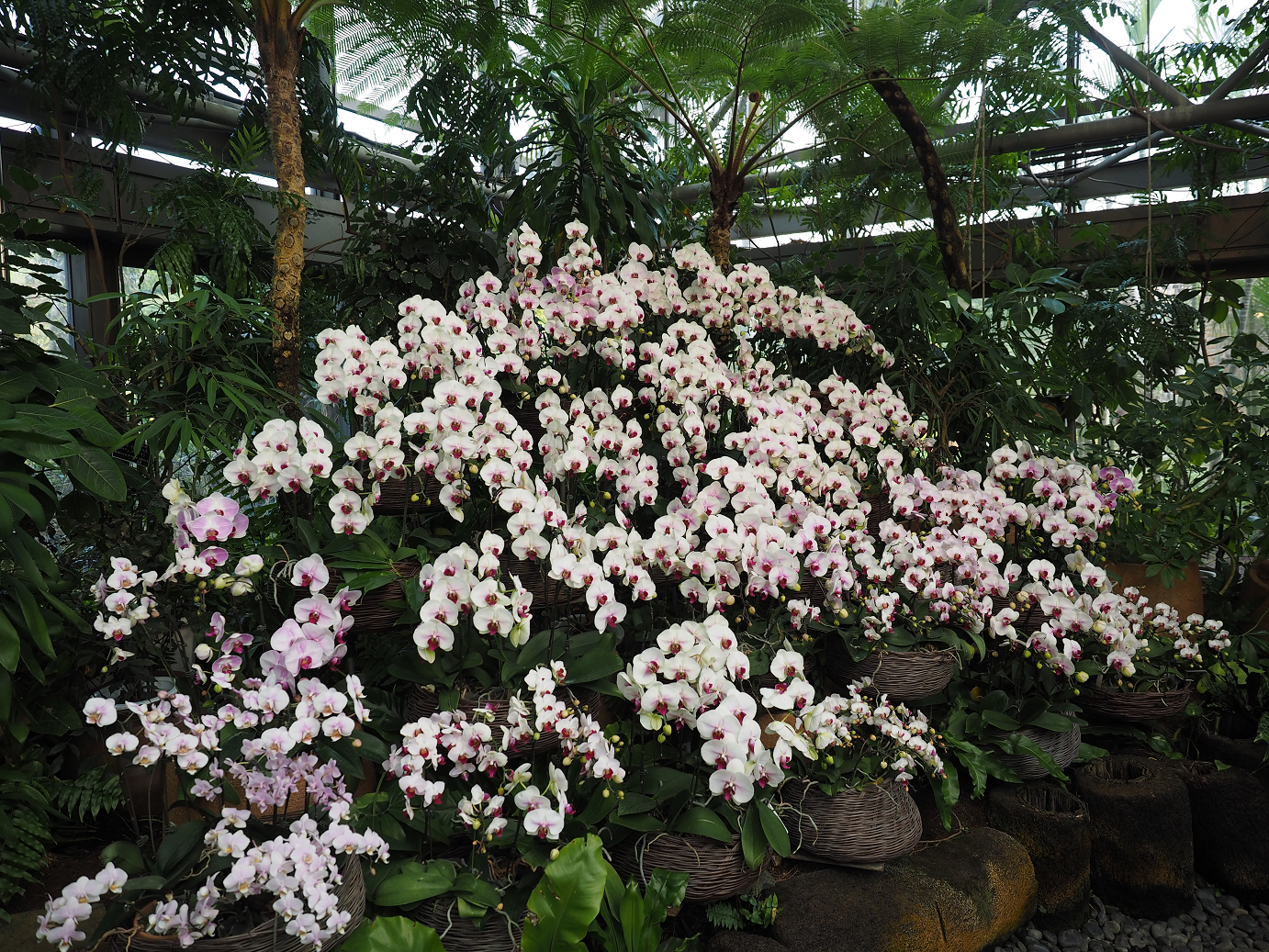 P1200293.jpg