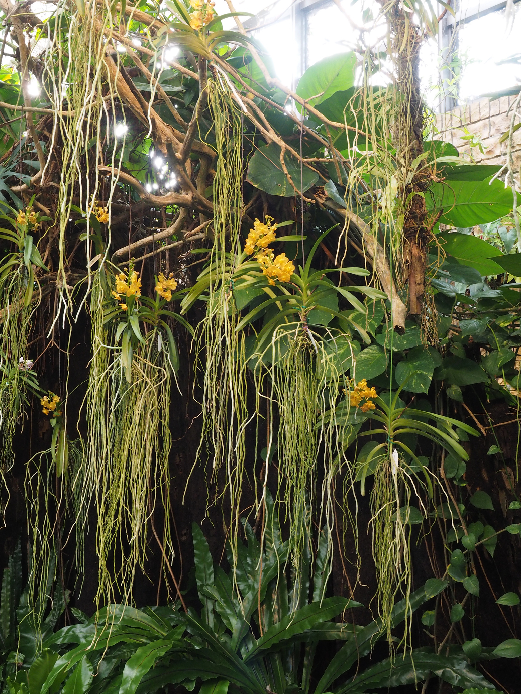 P1200302.jpg