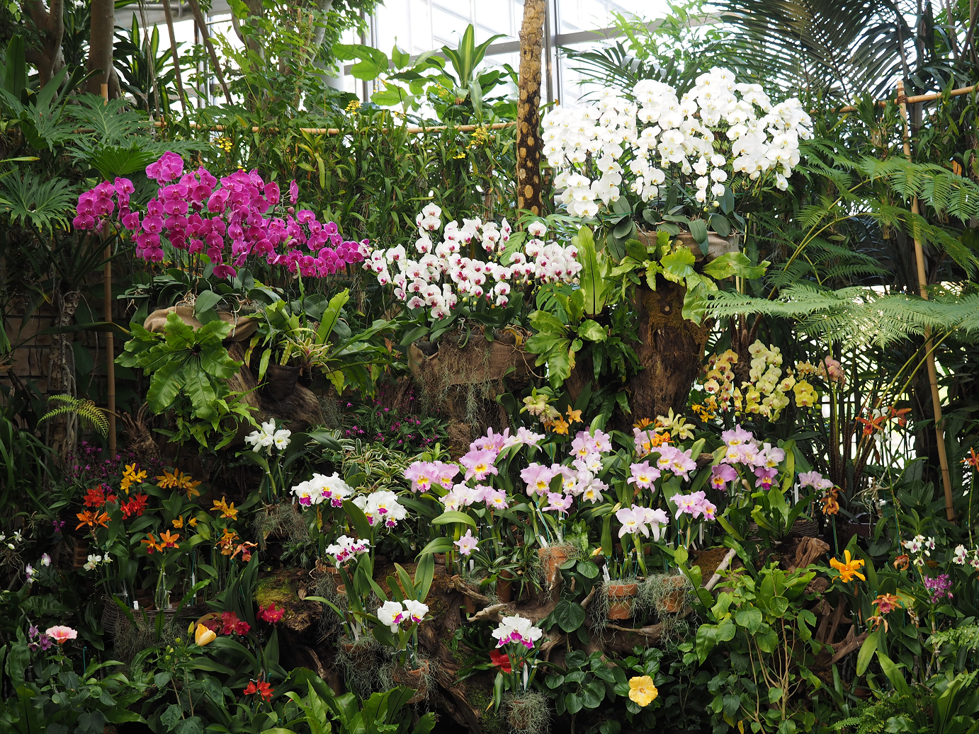 P1200335.jpg