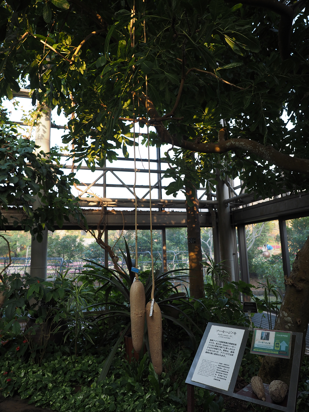 P1200355.jpg