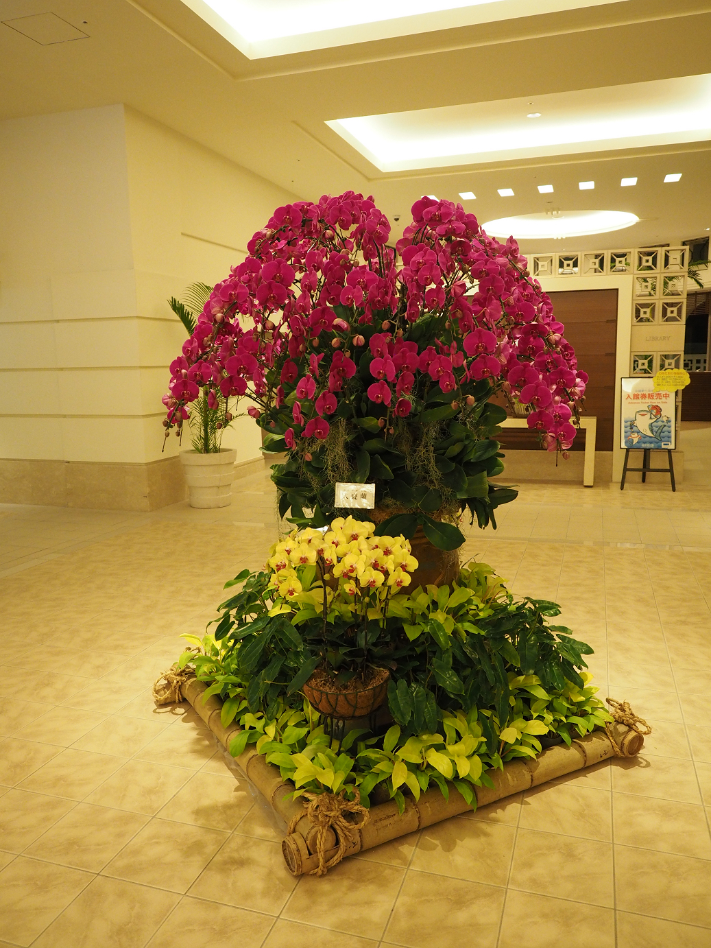 P1200435.jpg