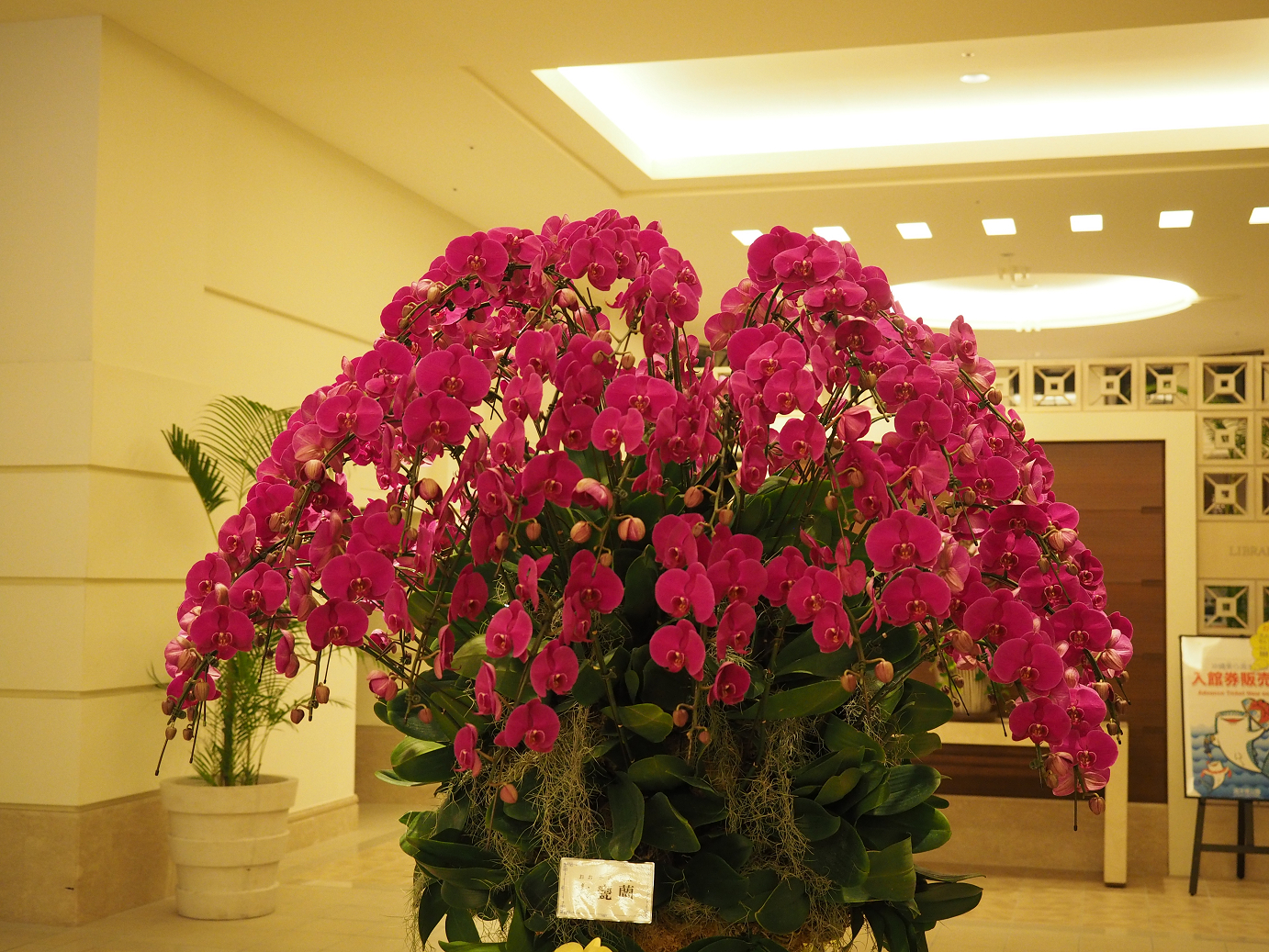P1200436.jpg