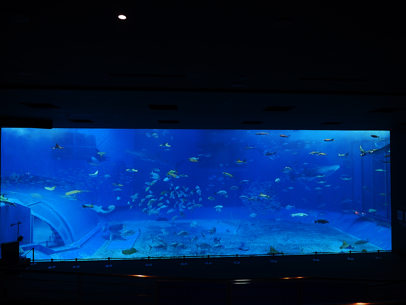 P1210019.jpg