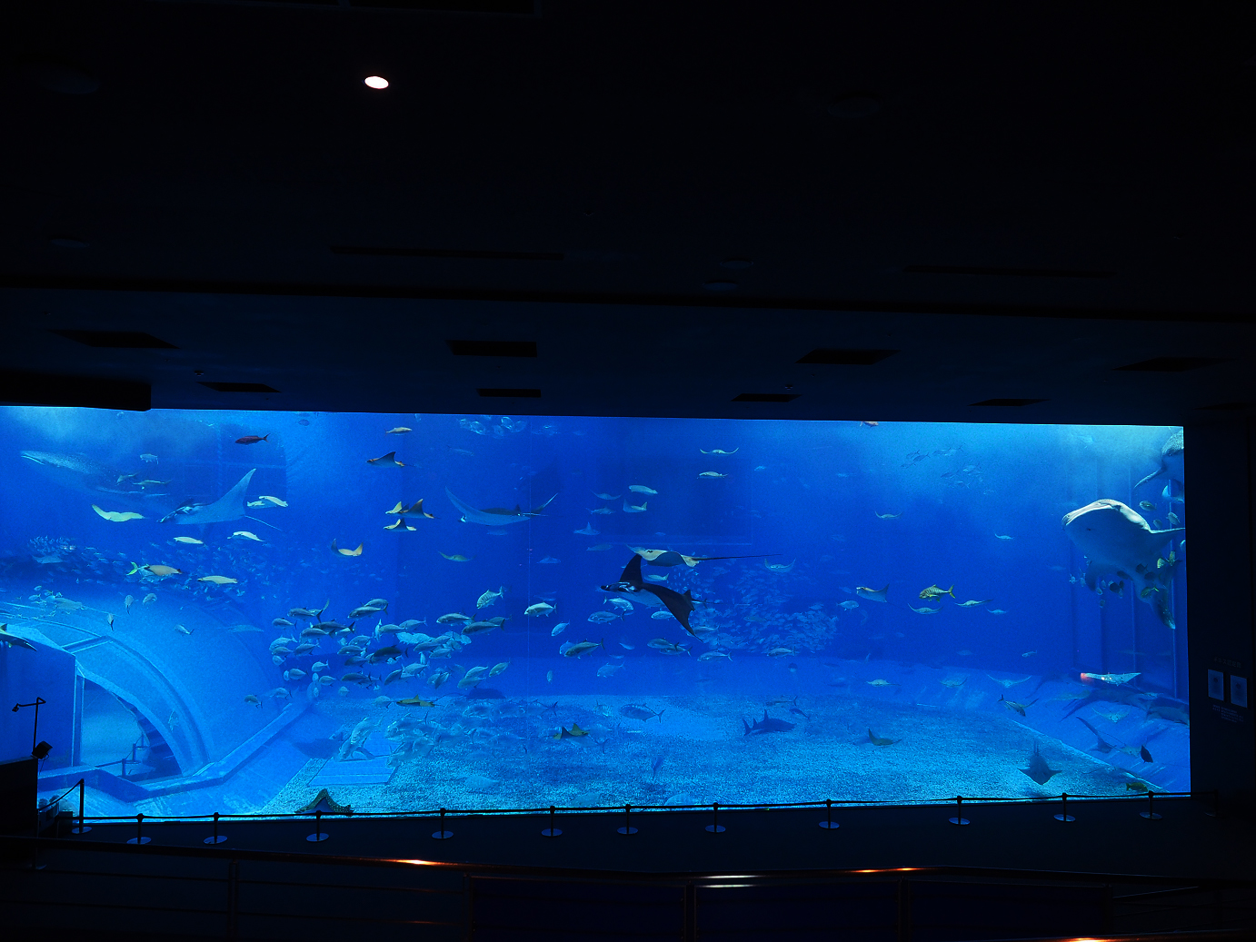 P1210022.jpg