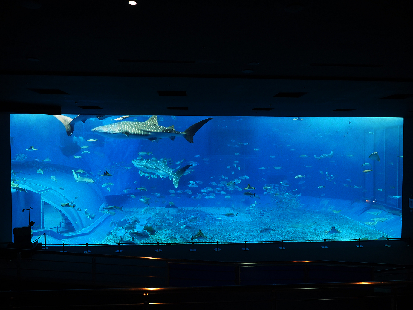 P1210030.jpg
