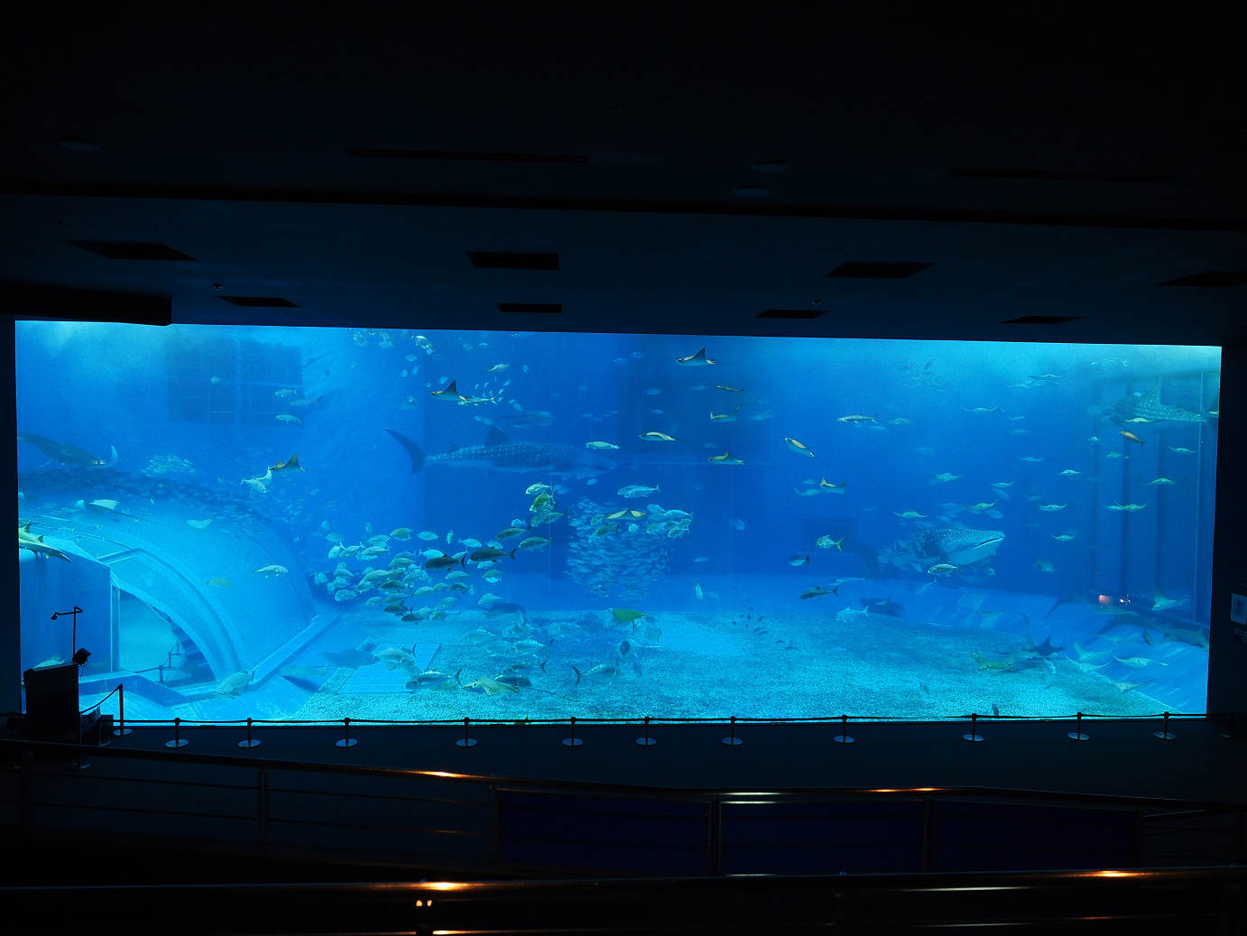 P1210034.jpg