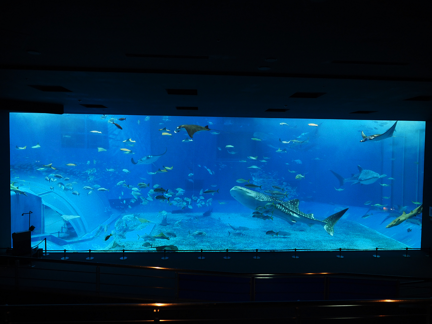 P1210040.jpg