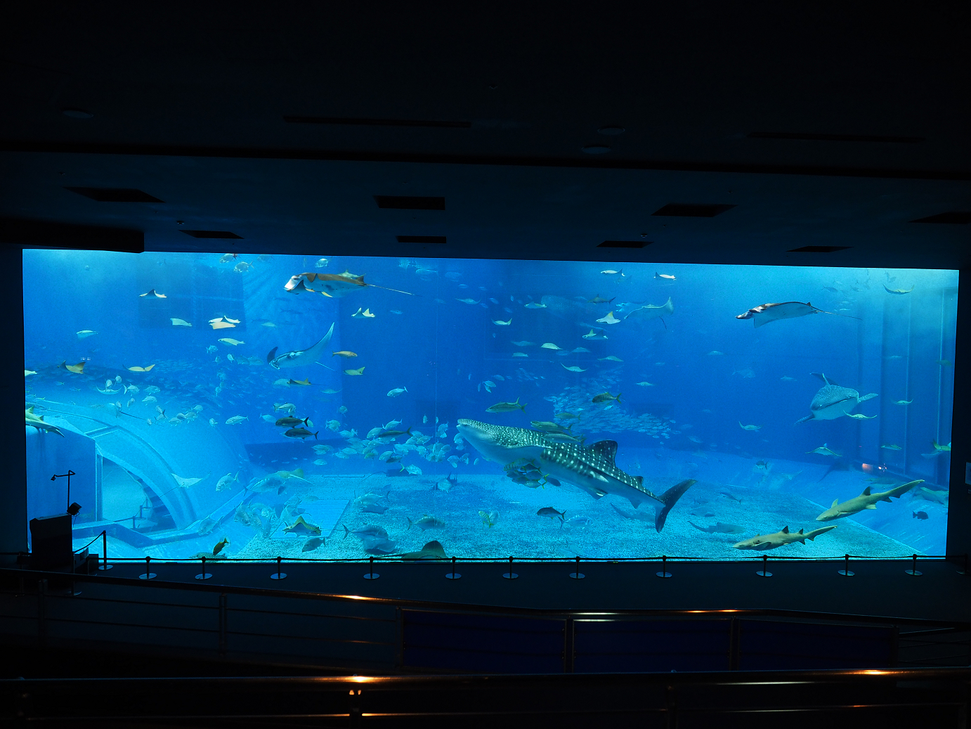 P1210042.jpg