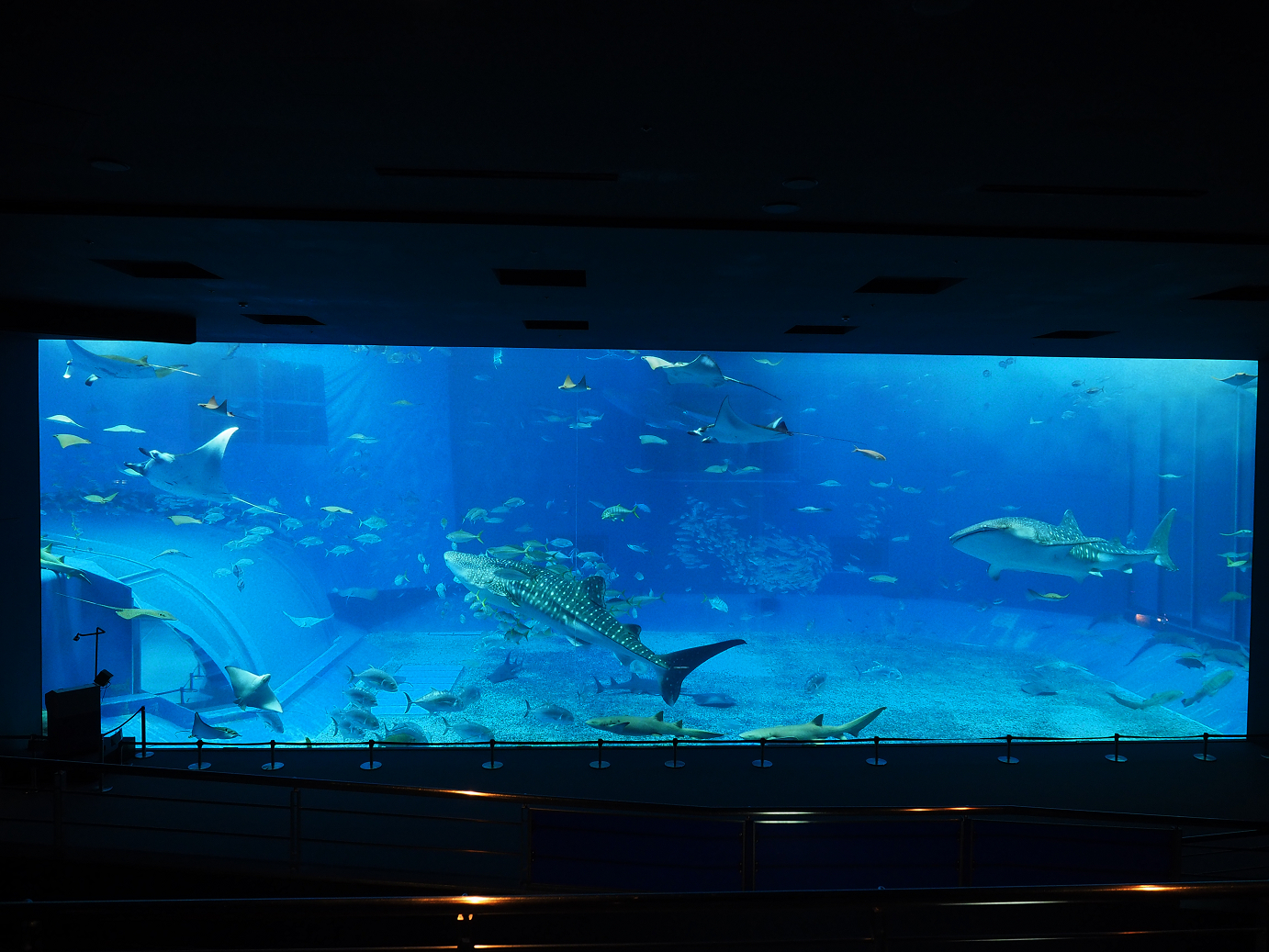 P1210043.jpg