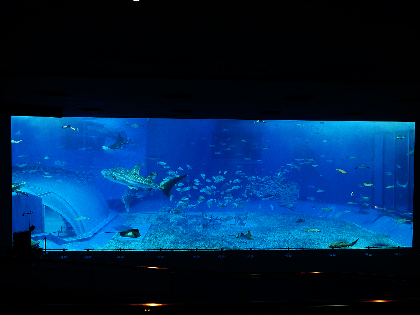 P1210049.jpg
