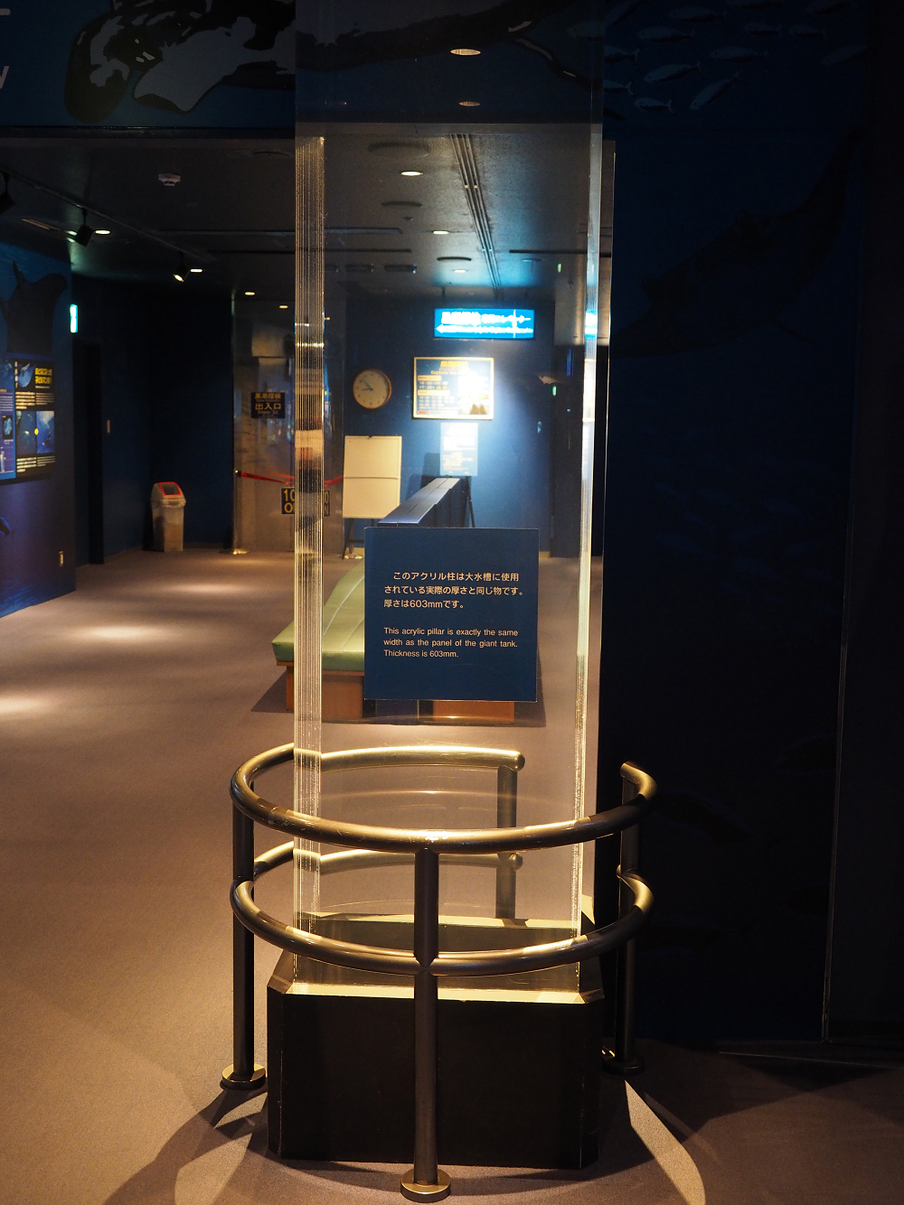 P1210124.jpg